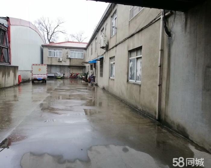 (出售) 奉贤四团镇104板块土地厂房出售 随时可以使用-pic1
