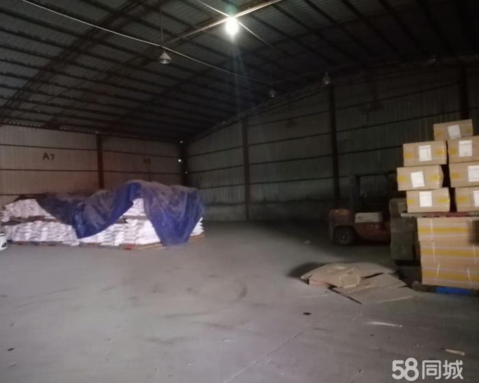 (出售) 奉贤四团镇104板块土地厂房出售 随时可以使用-pic2