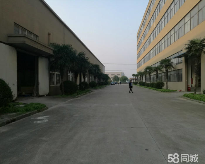 (出售) 金山亭林工业区19亩单层建筑12米层高3900万
