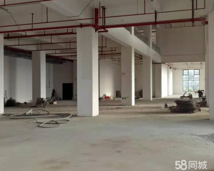 (出售) 高铁东站独院厂房 出售，可改酒店，人才公寓等-pic2