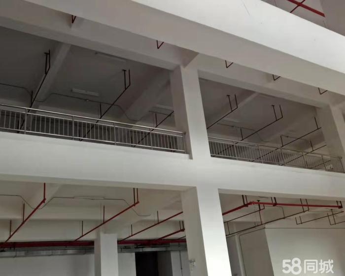 (出售) 高铁东站独院厂房 出售，可改酒店，人才公寓等-pic3