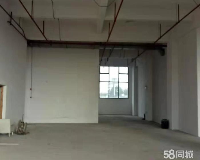 (出售) 高铁东站独院厂房 出售，可改酒店，人才公寓等-pic4