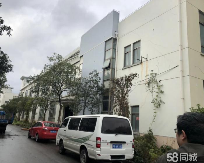 (出售) 新桥 靠近漕河泾 小面积独栋厂房一手现房-pic4