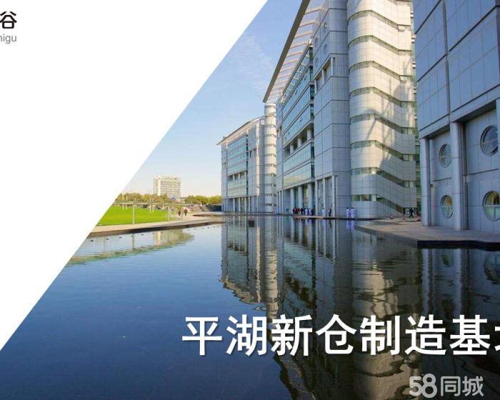 (出售) 平湖新仓嘉创智谷产业园（可分割可办产证）