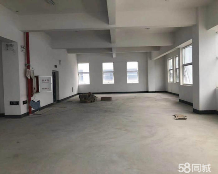 (出售) 层高15米 一手厂房出售 占地8亩 无公摊 有环评-pic2