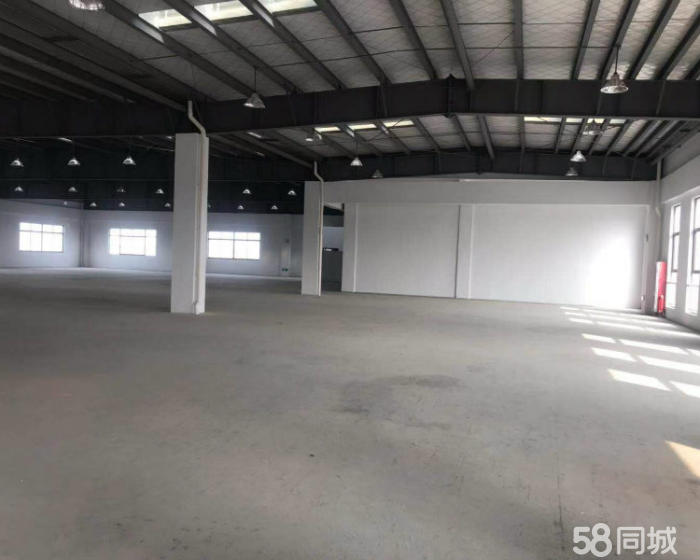 (出售) 层高15米 一手厂房出售 占地8亩 无公摊 有环评-pic3