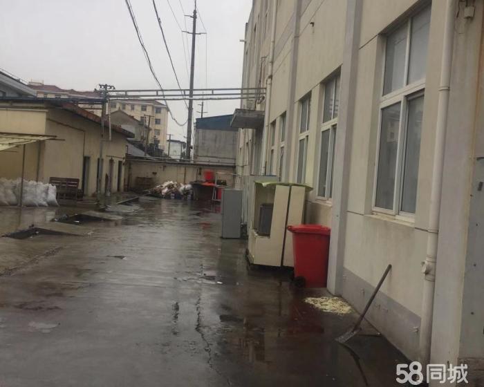 (出售) 祝桥镇工业双层厂房出售-pic2