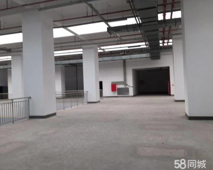 (出售) 金山吕港104地块工业厂房绿证出售