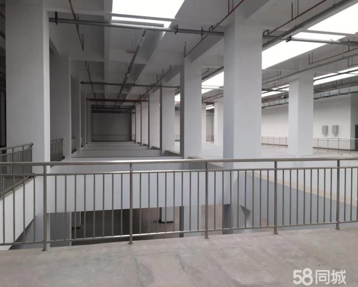(出售) 金山吕港104地块工业厂房绿证出售-pic2