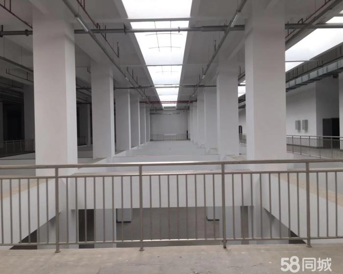 (出售) 金山吕港104地块工业厂房绿证出售-pic3