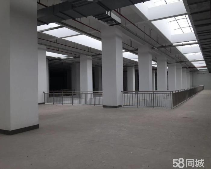 (出售) 金山吕港104地块工业厂房绿证出售-pic4
