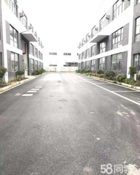 (出售) 标准厂房出售 层高10米 国土 有环评 现房-pic2