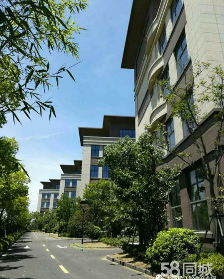 (出售) 104地块，新厂房，现房有证，购买过户，便宜出售-pic3