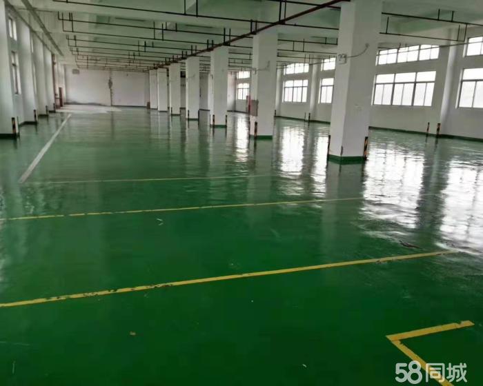 (出租) 唐镇新出环氧地坪喷淋消防仓库1300平出租大车好过-pic1