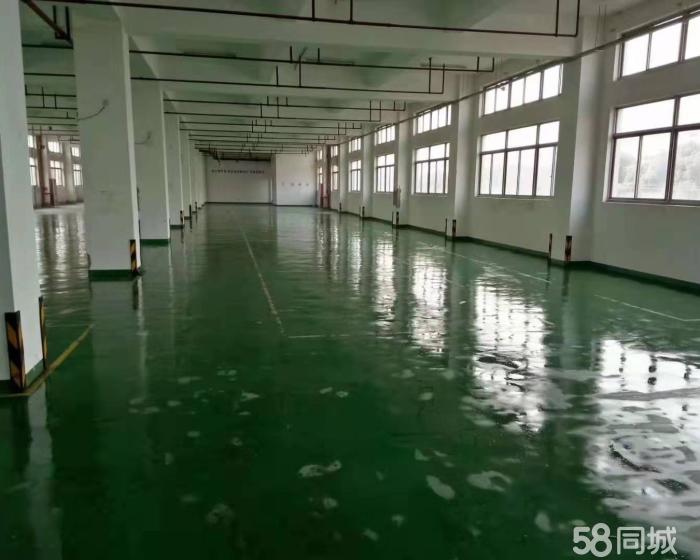 (出租) 唐镇新出环氧地坪喷淋消防仓库1300平出租大车好过-pic3