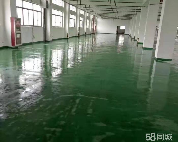 (出租) 唐镇新出环氧地坪喷淋消防仓库1300平出租大车好过-pic4