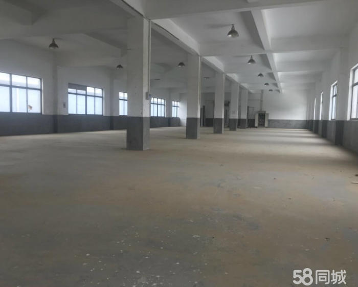 (出租) 杨高南路附近 原房东 3楼带货梯出租 适合电商仓储-pic4