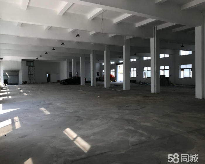 (出租) 新场1300平厂房出租 可废纸打包 300平起租-pic4