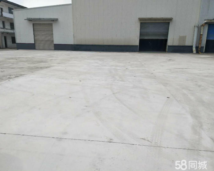 (出租) 杨行友谊路1000~9000平单层厂房空地6亩出租-pic3