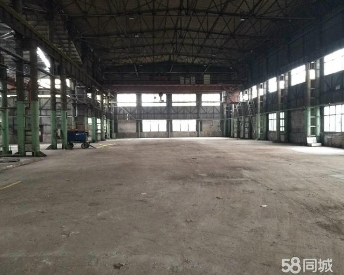 (出租) 杨行友谊路1000~9000平单层厂房空地6亩出租-pic4