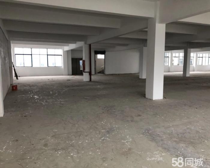 (出租) 西渡1000平原房东好分割空地5亩-pic2