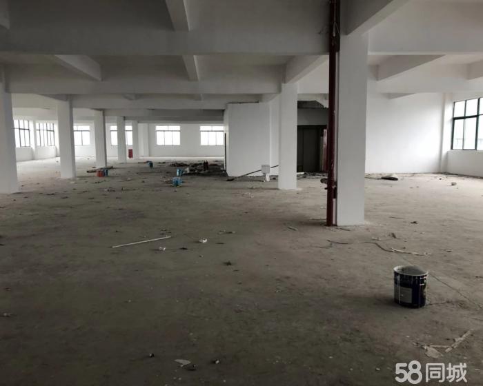 (出租) 西渡1000平原房东好分割空地5亩-pic3
