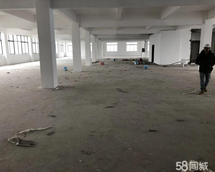 (出租) 西渡1000平原房东好分割空地5亩-pic4