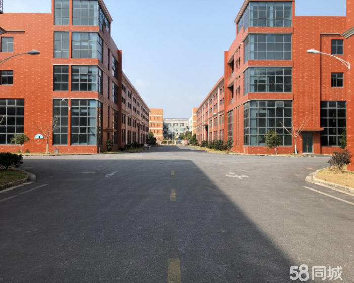 (出租) 临港工业区6500平独栋厂房出租适合机械汽车零配件-pic2