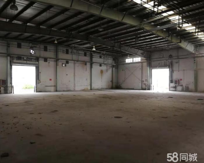 (出租) 新出独门独院单层厂房.层高9米没有立柱 可以注 册-pic2