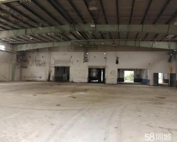 (出租) 新出独门独院单层厂房.层高9米没有立柱 可以注 册-pic3