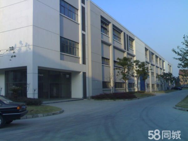 (出租) 金桥南区王桥工业园一楼300平米和1200平米分割-pic2