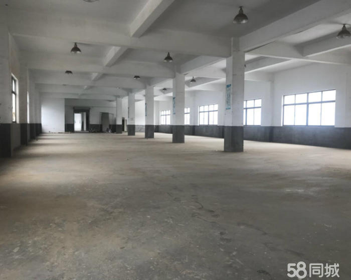 (出租) 杨高南路附近 原房东 3楼带货梯出租 适合电商仓储-pic3