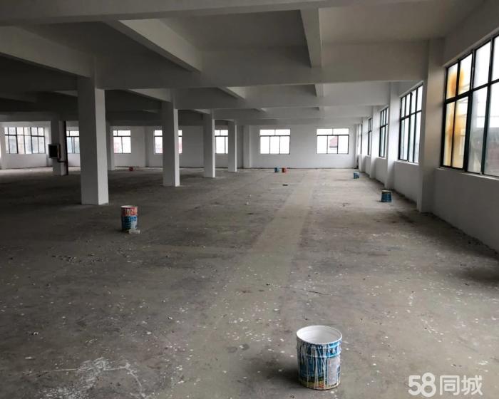 (出租) 西渡1000平原房东好分割空地5亩-pic1