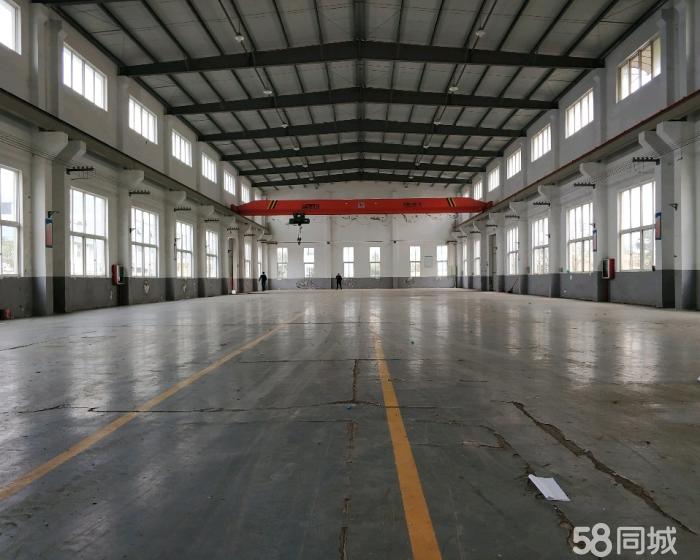 (出租) 老港原房东出租，接受二房东，层高10米 场地超大。-pic3