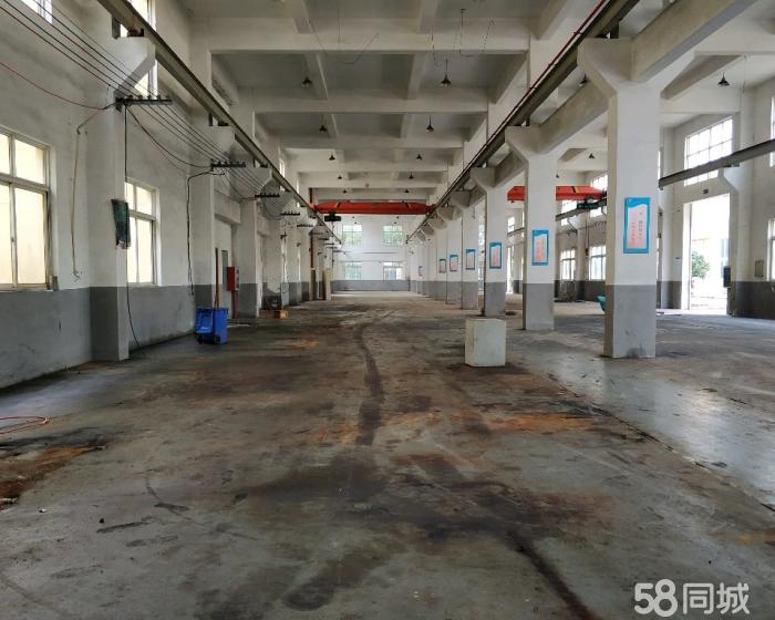 (出租) 老港原房东出租，接受二房东，层高10米 场地超大。-pic4