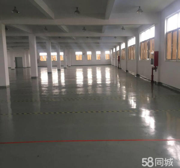 (出租) 松江仓库厂房 适合办公仓库 科技研发 生物医药等-pic3
