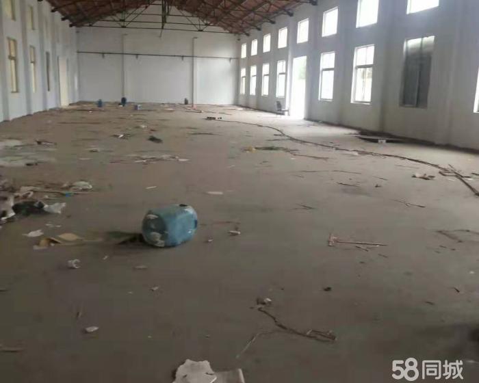 (出租) 独栋单层1000平、1600平塑料粉碎，纸箱厂房