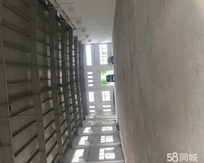 (出租) 虹梅南路3509弄单层厂房650平出租104可环评-pic3
