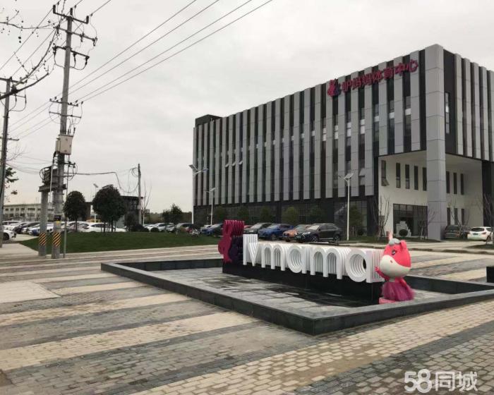 (出租) 松江洞泾2700平方单层厂房出租104板块可分割-pic3