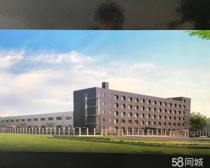(出租) 宝山工业园区厂房，标准厂房带行车11000平