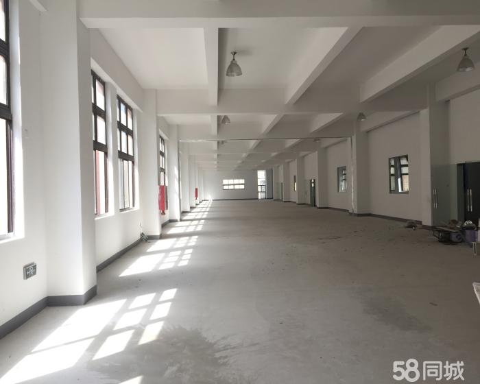 (出租) 西渡标准厂房360平无税收要求绿证-pic1