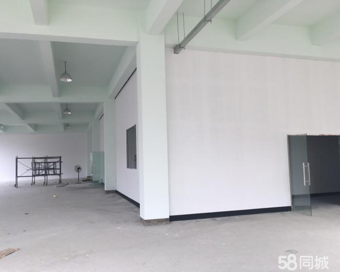 (出租) 西渡标准厂房360平无税收要求绿证-pic4