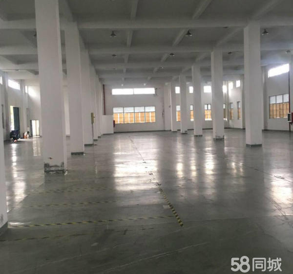(出租) 松江仓库厂房 适合办公仓库 科技研发 生物医药等-pic2