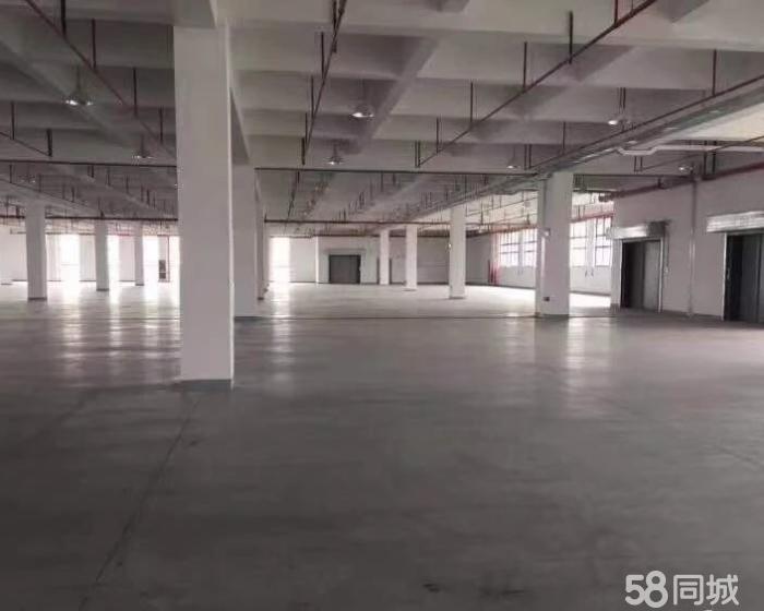 (出租) 曹路工业区104板块可环底楼1500平标准厂房出租-pic3