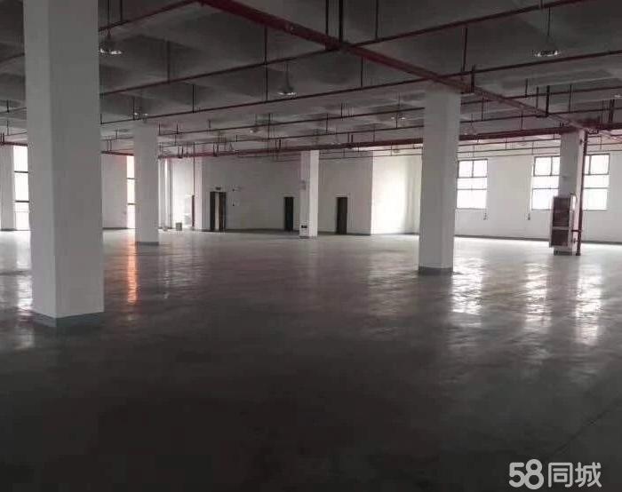 (出租) 曹路工业区104板块可环底楼1500平标准厂房出租-pic2