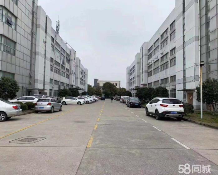 (出租) 曹路工业区104板块可环底楼1500平标准厂房出租-pic4