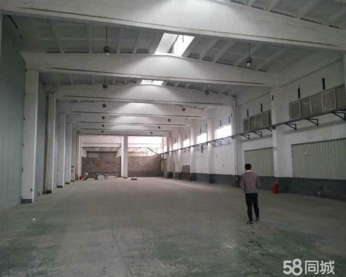 (出租) 元江路景东路单层仓库1400平大小可自由分割！！1-pic2
