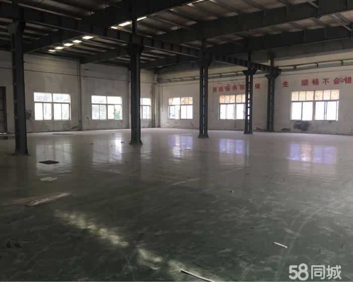 (出租) 徐泾镇一栋单层厂房3300平方104地块大小可分割-pic1