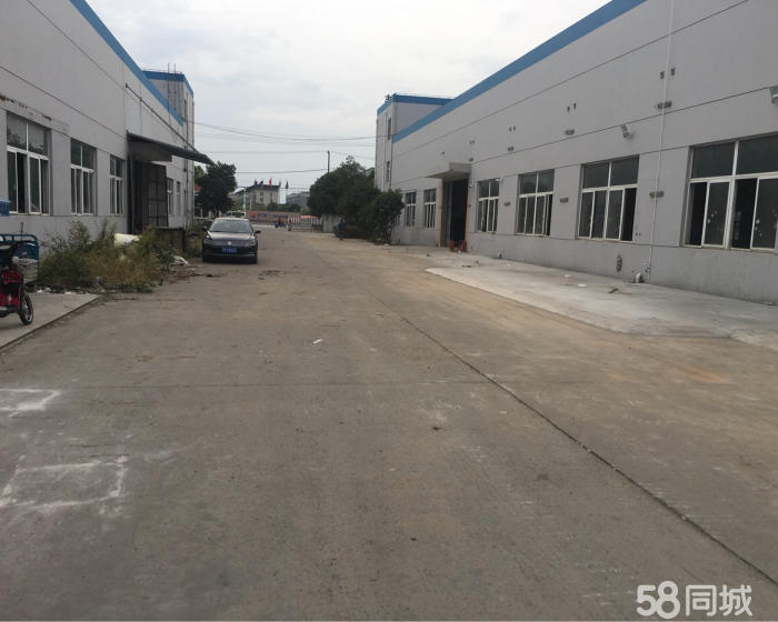 (出租) 徐泾镇一栋单层厂房3300平方104地块大小可分割-pic3