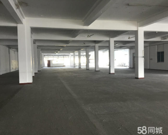 (出租) 青浦北青公路主干道旁 厂房出租 1300平双货梯-pic2